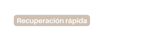 Recuperación rápida